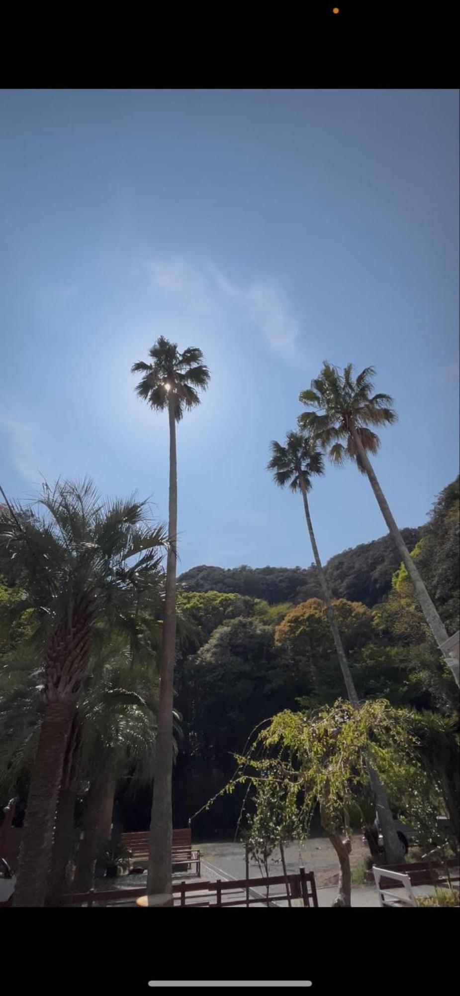 The Surf Lodge White Beach Shimoda  Exterior photo